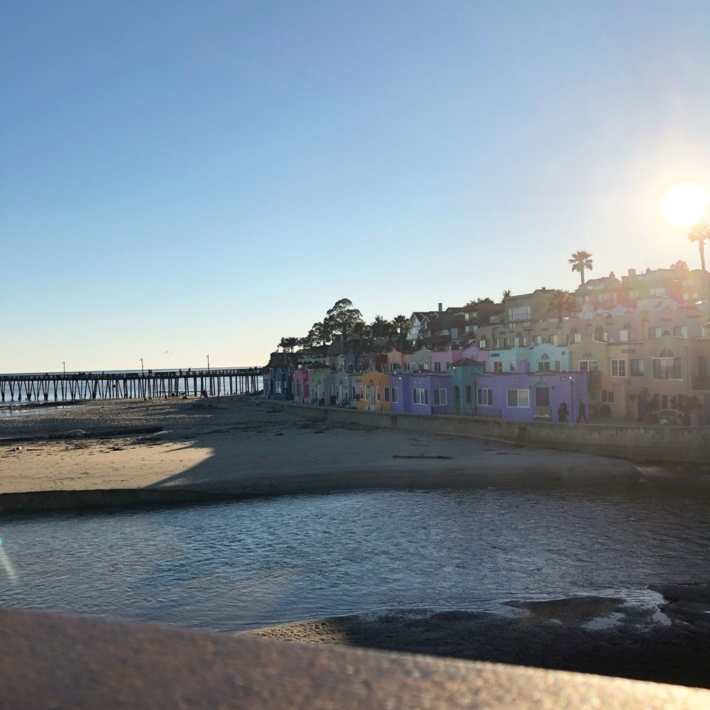 Meet your Posher, Josie